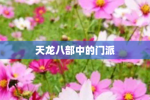 天龙八部中的门派 天龙八部中的门派