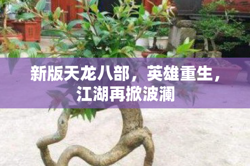 新版天龙八部,英雄重生,江湖再掀波澜 新版天龙八部,英雄重生,江湖再掀波澜