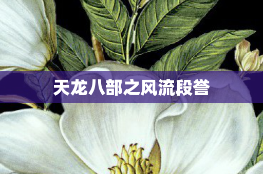 天龙八部之风流段誉 天龙八部之风流段誉