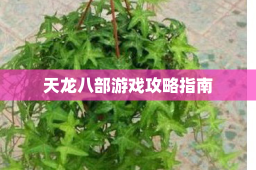 天龙八部游戏攻略指南 天龙八部游戏攻略指南