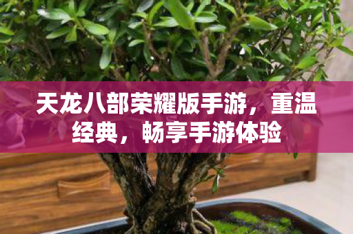天龙八部荣耀版手游,重温经典,畅享手游体验 天龙八部荣耀版手游,重温经典,畅享手游体验