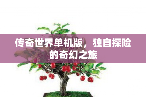 传奇世界单机版,独自探险的奇幻之旅 传奇世界单机版,独自探险的奇幻之旅