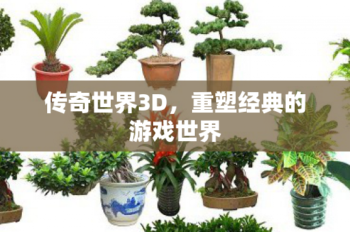 传奇世界3D,重塑经典的游戏世界 传奇世界3D,重塑经典的游戏世界