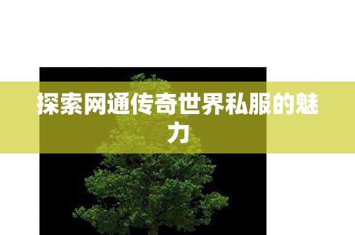 探索网通传奇世界私服的魅力 探索网通传奇世界私服的魅力