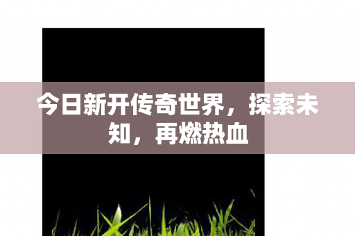 今日新开传奇世界,探索未知,再燃热血 今日新开传奇世界,探索未知,再燃热血