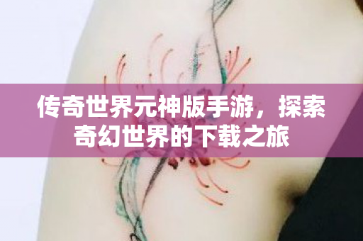 传奇世界元神版手游，探索奇幻世界的下载之旅