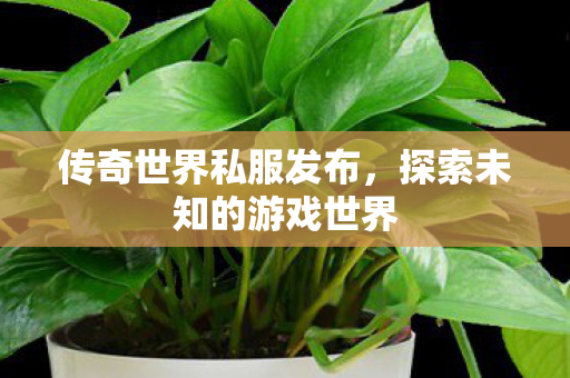 传奇世界私服发布，探索未知的游戏世界