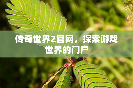 传奇世界2官网,探索游戏世界的门户 传奇世界2官网,探索游戏世界的门户