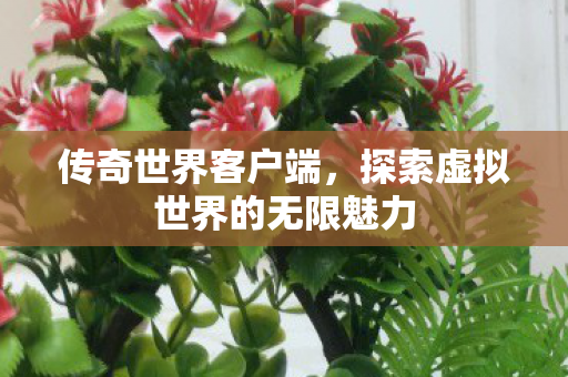 传奇世界客户端，探索虚拟世界的无限魅力