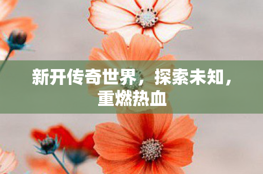 新开传奇世界,探索未知,重燃热血 新开传奇世界,探索未知,重燃热血