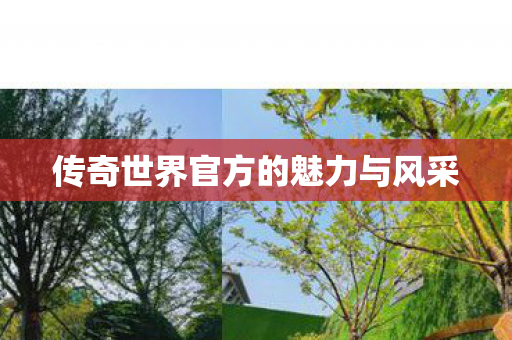 传奇世界官方的魅力与风采 传奇世界官方的魅力与风采