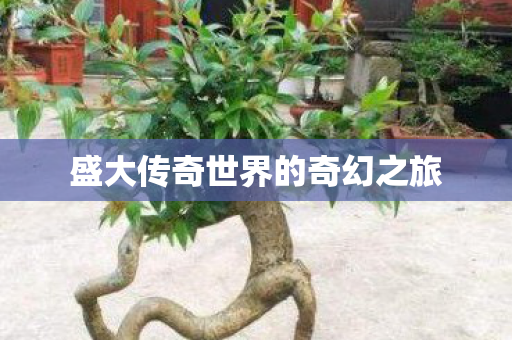 盛大传奇世界的奇幻之旅 盛大传奇世界的奇幻之旅