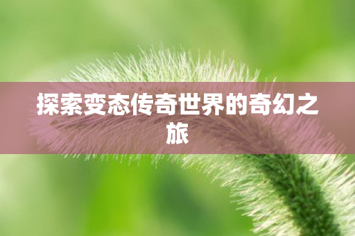 探索变态传奇世界的奇幻之旅 探索变态传奇世界的奇幻之旅