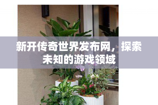 新开传奇世界发布网,探索未知的游戏领域 新开传奇世界发布网,探索未知的游戏领域