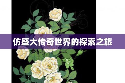 仿盛大传奇世界的探索之旅 仿盛大传奇世界的探索之旅