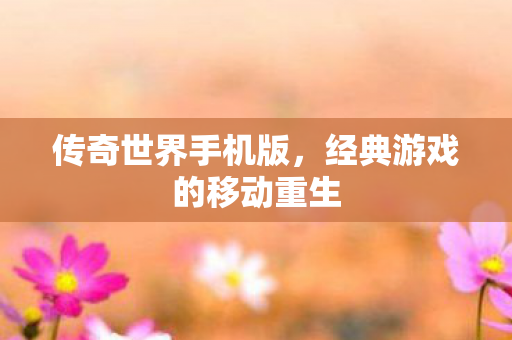 传奇世界手机版,经典游戏的移动重生 传奇世界手机版,经典游戏的移动重生