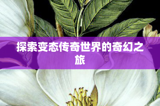 探索变态传奇世界的奇幻之旅 探索变态传奇世界的奇幻之旅