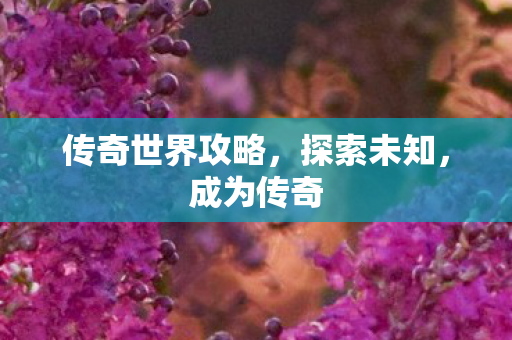 传奇世界攻略，探索未知，成为传奇