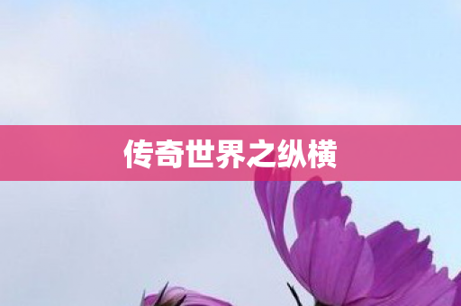 传奇世界之纵横 传奇世界之纵横
