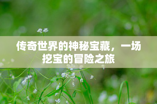 传奇世界的神秘宝藏,一场挖宝的冒险之旅 传奇世界的神秘宝藏,一场挖宝的冒险之旅