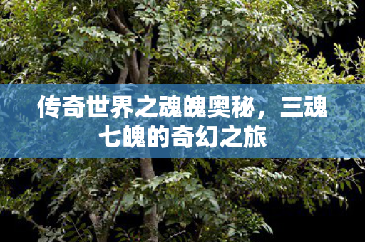 传奇世界之魂魄奥秘,三魂七魄的奇幻之旅 传奇世界之魂魄奥秘,三魂七魄的奇幻之旅
