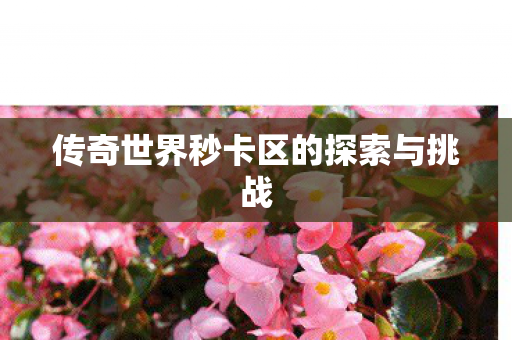传奇世界秒卡区的探索与挑战 传奇世界秒卡区的探索与挑战