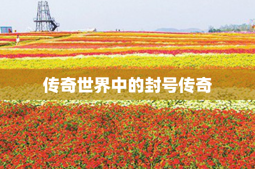 传奇世界中的封号传奇 传奇世界中的封号传奇