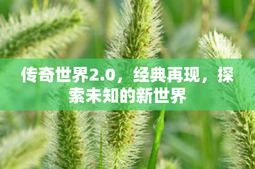 传奇世界2.0,经典再现,探索未知的新世界 传奇世界2.0,经典再现,探索未知的新世界