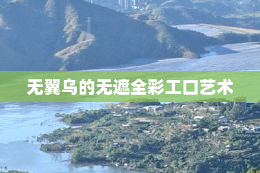 无翼乌的无遮全彩工口艺术 无翼乌的无遮全彩工口艺术