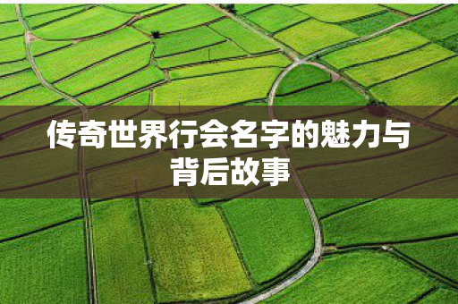 传奇世界行会名字的魅力与背后故事 传奇世界行会名字的魅力与背后故事