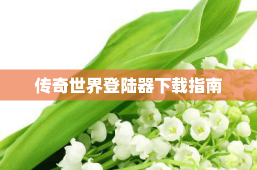 传奇世界登陆器下载指南 传奇世界登陆器下载指南