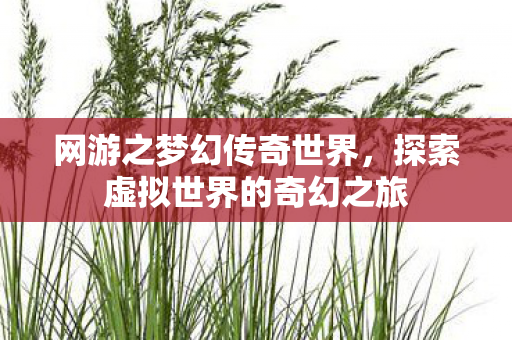 网游之梦幻传奇世界，探索虚拟世界的奇幻之旅