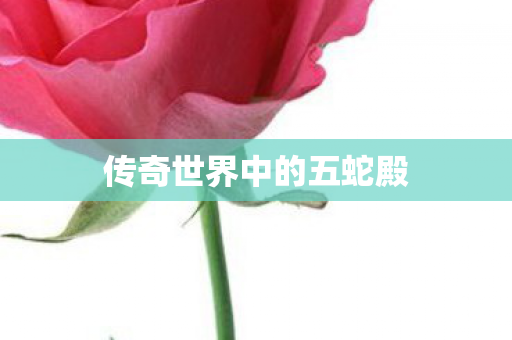 传奇世界中的五蛇殿 传奇世界中的五蛇殿