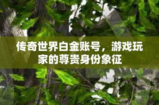 传奇世界白金账号,游戏玩家的尊贵身份象征 传奇世界白金账号,游戏玩家的尊贵身份象征