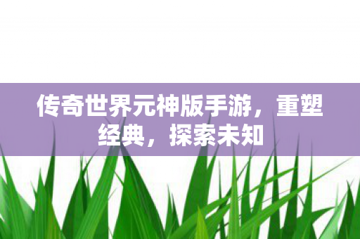 传奇世界元神版手游,重塑经典,探索未知 传奇世界元神版手游,重塑经典,探索未知