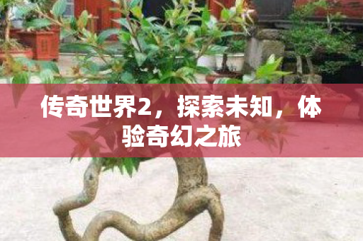 传奇世界2,探索未知,体验奇幻之旅 传奇世界2,探索未知,体验奇幻之旅