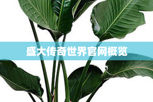 盛大传奇世界官网概览