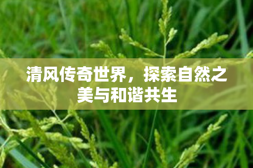 清风传奇世界,探索自然之美与和谐共生 清风传奇世界,探索自然之美与和谐共生