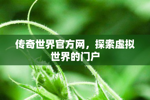 传奇世界官方网，探索虚拟世界的门户