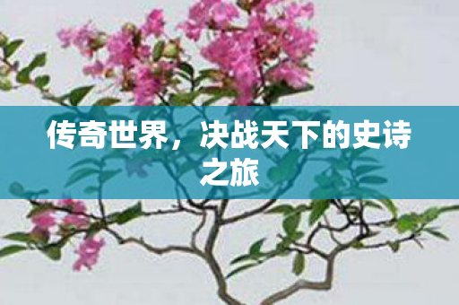 传奇世界,决战天下的史诗之旅 传奇世界,决战天下的史诗之旅