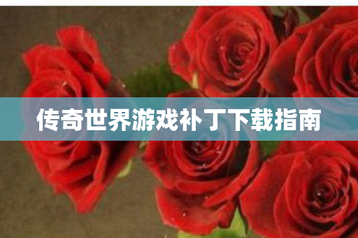 传奇世界游戏补丁下载指南 传奇世界游戏补丁下载指南
