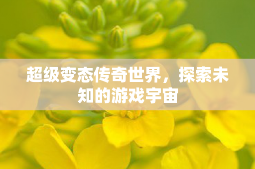 超级变态传奇世界,探索未知的游戏宇宙 超级变态传奇世界,探索未知的游戏宇宙