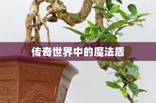 传奇世界中的魔法盾 传奇世界中的魔法盾