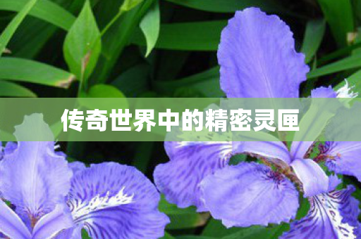 传奇世界中的精密灵匣 传奇世界中的精密灵匣