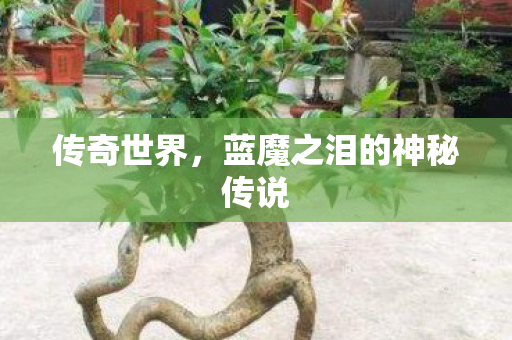 传奇世界,蓝魔之泪的神秘传说 传奇世界,蓝魔之泪的神秘传说
