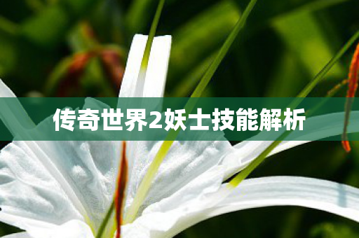 传奇世界2妖士技能解析 传奇世界2妖士技能解析
