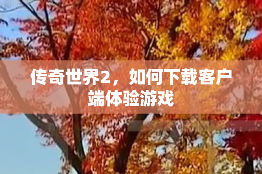 传奇世界2,如何下载客户端体验游戏 传奇世界2,如何下载客户端体验游戏