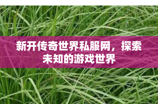 新开传奇世界私服网,探索未知的游戏世界 新开传奇世界私服网,探索未知的游戏世界