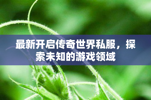 最新开启传奇世界私服,探索未知的游戏领域 最新开启传奇世界私服,探索未知的游戏领域
