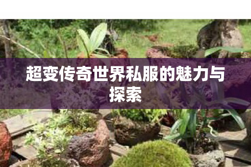 超变传奇世界私服的魅力与探索 超变传奇世界私服的魅力与探索